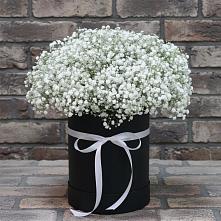 Цветочная композиция из Гипсофила в шляпной коробке в Агинском
